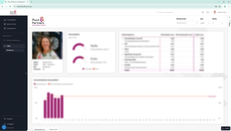 Pluut & Partners — Applicaties & dashboards